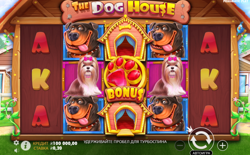 도그하우스 슬롯 귀여운 반려견과 큰 보상이 만나는 슬롯 게임 가이드 도그하우스 슬롯 귀여운 반려견과 큰 보상이 만나는 슬롯 게임 가이드